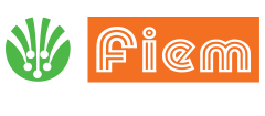 Fiem Industries Limited